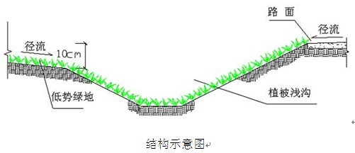 植被淺溝（gōu）
