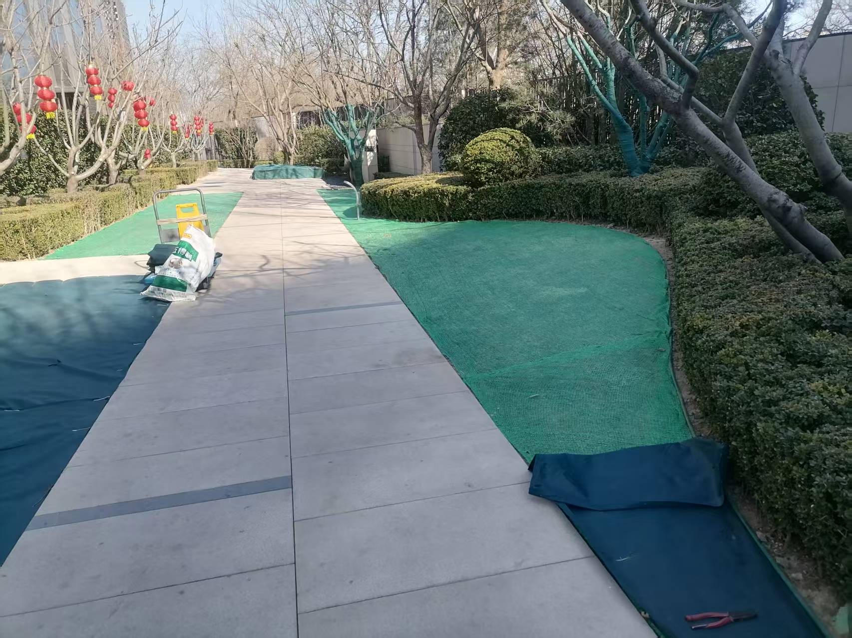 北京春（chūn）季園林綠化養護之撤除防寒布