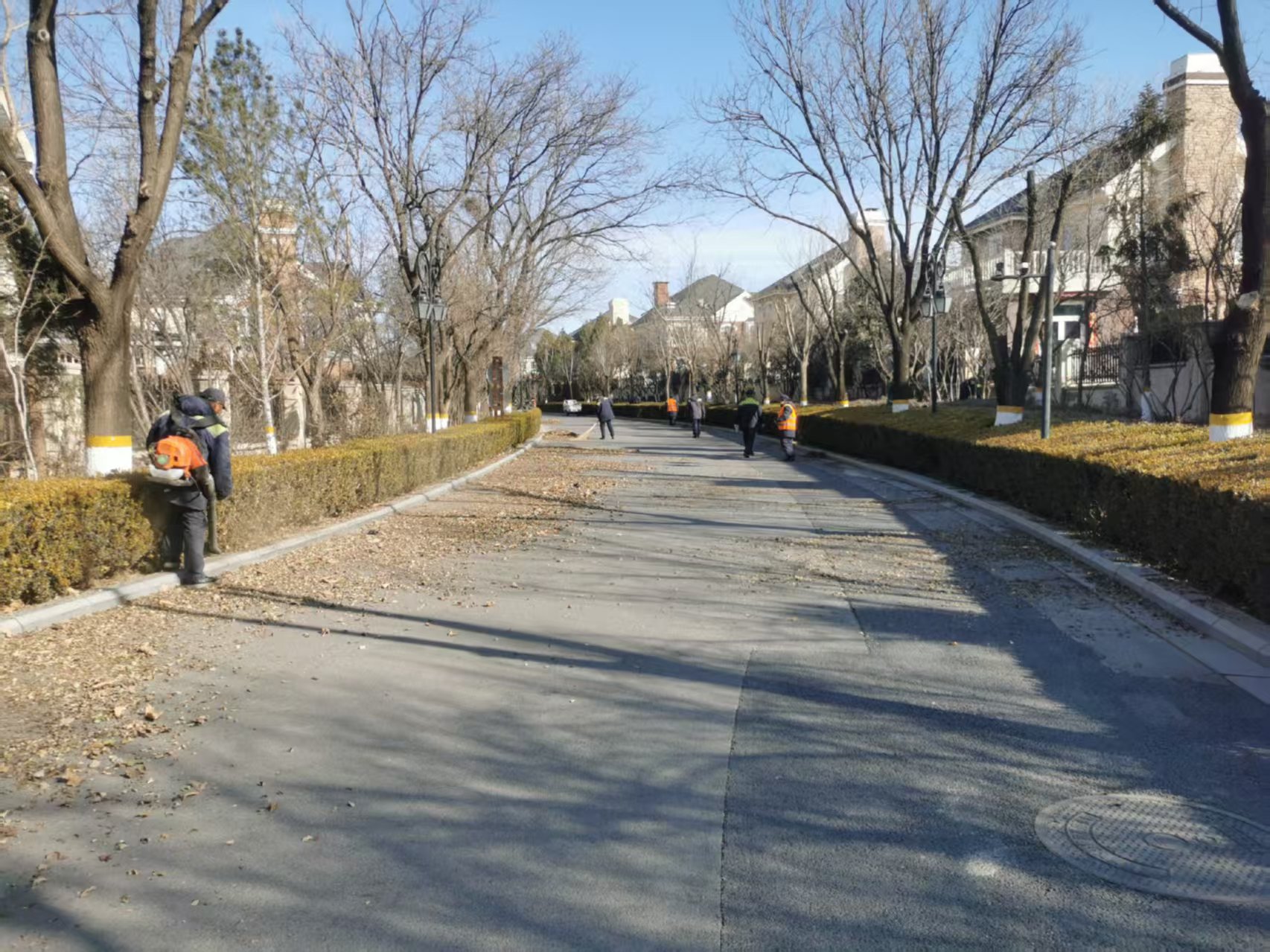 北京春季園林綠（lǜ）化養護指南（nán）之春季清園